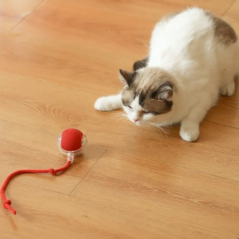 Bola de Caça Eletrônica para Gatos - Diversão Inteligente e Interativa