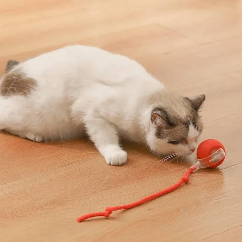 Bola de Caça Eletrônica para Gatos - Diversão Inteligente e Interativa